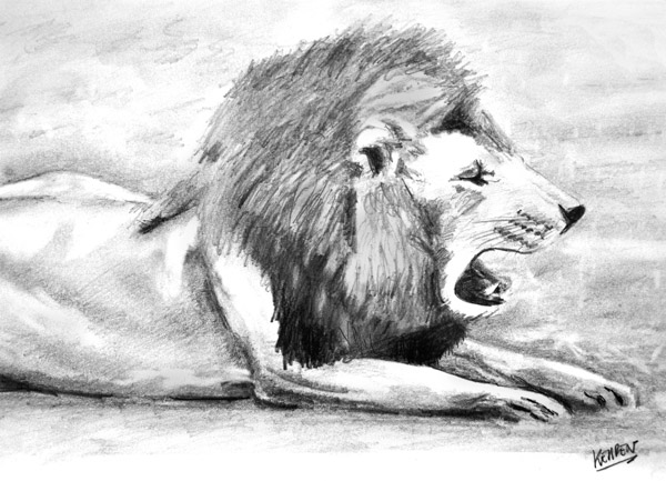 C012 Le lion