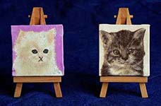 mini cadre chats