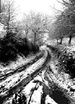 NB010 Chemin 2
