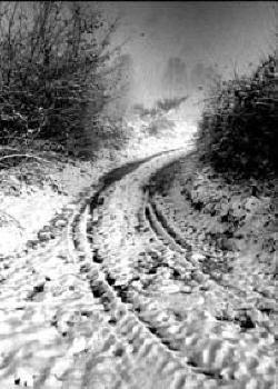 NB011 Chemin 3